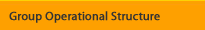 Group Operational Structure